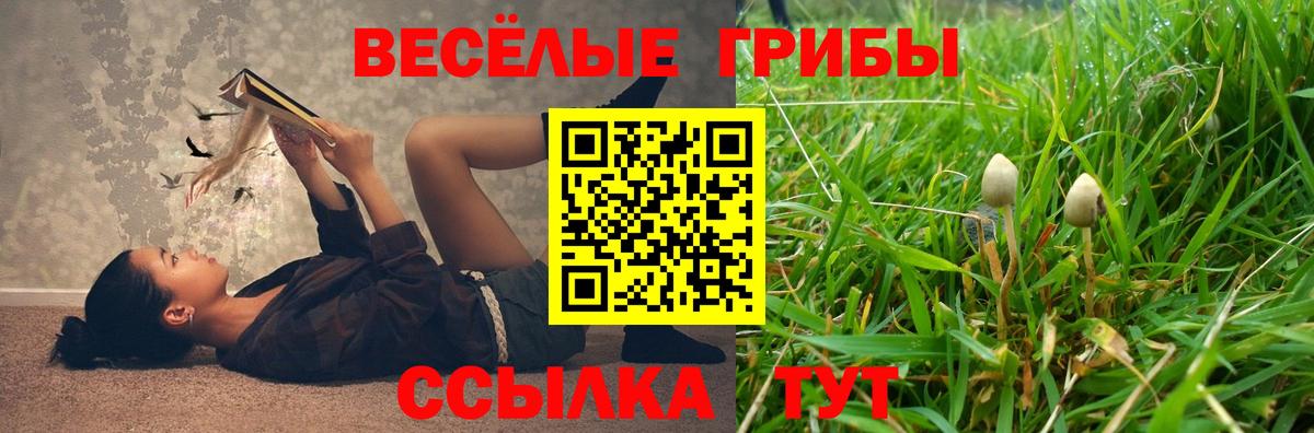 Псилоцибиновые грибы мухоморы  Вход с VPN  Миллерово 